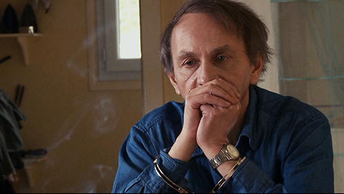 the_kidnapping_of_michel_houellebecq